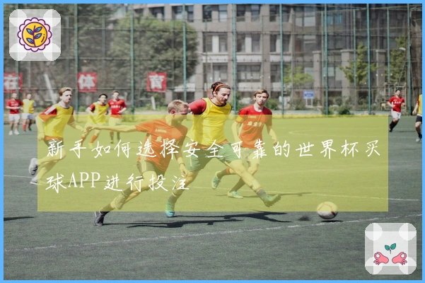 新手如何选择安全可靠的世界杯买球APP进行投注