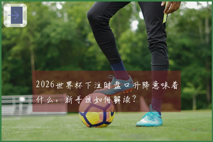 2026世界杯下注时盘口升降意味着什么，新手该如何解读？