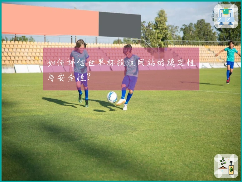 如何评估世界杯投注网站的稳定性与安全性？