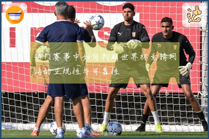 热门赛事中如何判断世界杯竞猜网站的正规性与可靠性