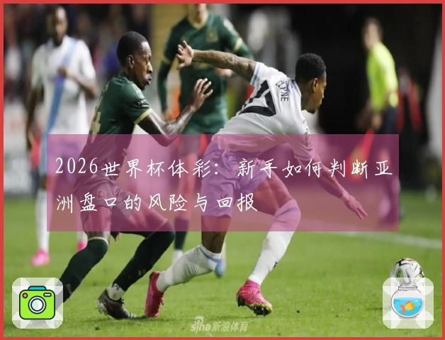2026世界杯体彩：新手如何判断亚洲盘口的风险与回报