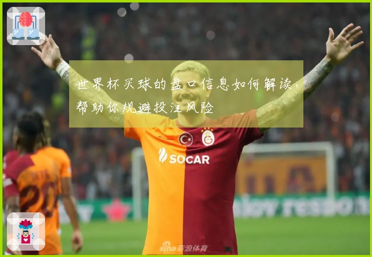 世界杯买球的盘口信息如何解读，帮助你规避投注风险