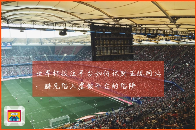 世界杯投注平台如何识别正规网站，避免陷入虚假平台的陷阱
