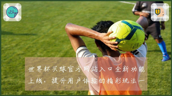 世界杯买球官方网站入口全新功能上线，提升用户体验的精彩玩法一览