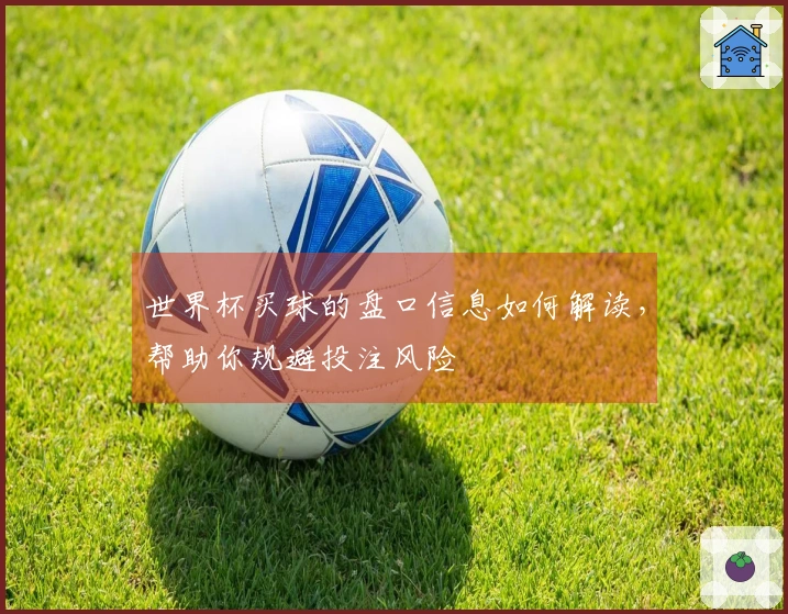 世界杯买球的盘口信息如何解读，帮助你规避投注风险