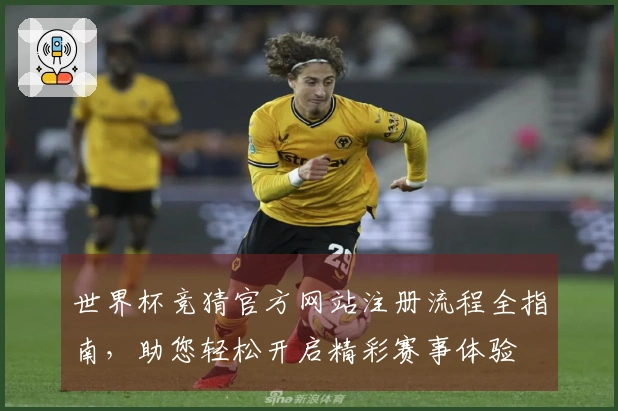 世界杯竞猜官方网站注册流程全指南，助您轻松开启精彩赛事体验
