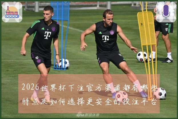 2026世界杯下注官方渠道都有哪些特点及如何选择更安全的投注平台