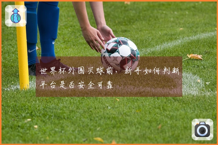 世界杯外围买球前，新手如何判断平台是否安全可靠