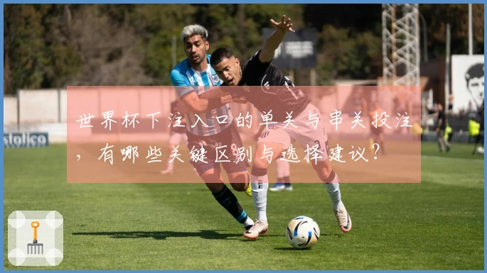 世界杯下注入口的单关与串关投注，有哪些关键区别与选择建议？