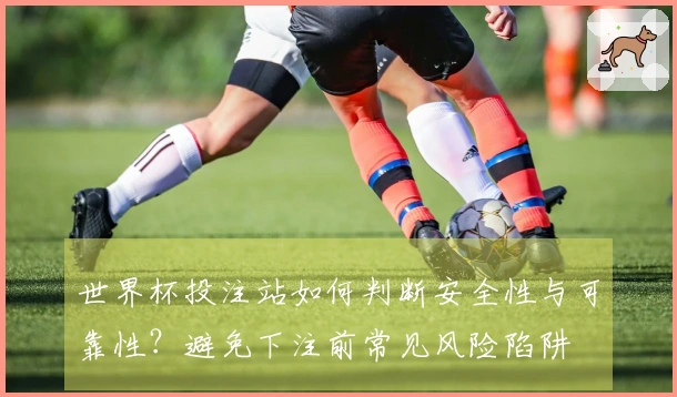 世界杯投注站如何判断安全性与可靠性？避免下注前常见风险陷阱