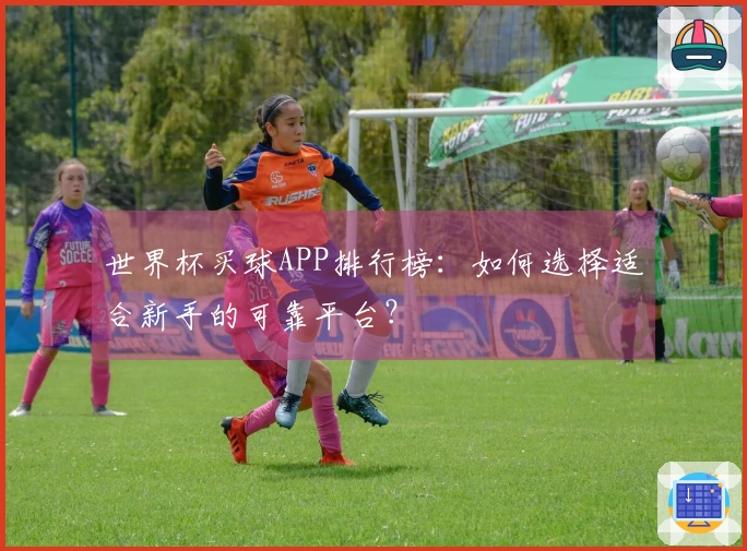 世界杯买球APP排行榜:如何选择适合新手的可靠平台?