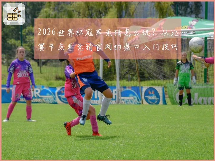2026世界杯冠军竞猜怎么玩？从比赛节点看竞猜官网的盘口入门技巧