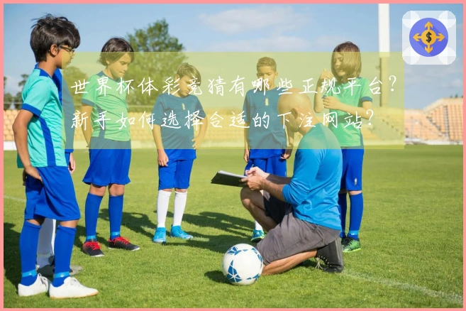 世界杯体彩竞猜有哪些正规平台?新手如何选择合适的下注网站?