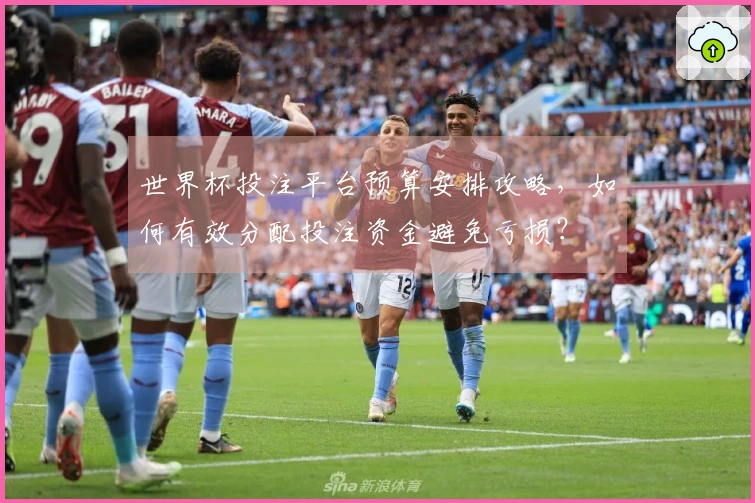 世界杯投注平台预算安排攻略,如何有效分配投注资金避免亏损?