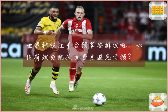 世界杯投注平台预算安排攻略，如何有效分配投注资金避免亏损？