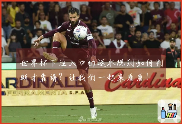 世界杯下注入口的返水规则如何判断才靠谱？让我们一起来看看！