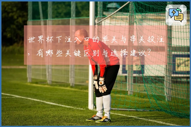 世界杯下注入口的单关与串关投注，有哪些关键区别与选择建议？